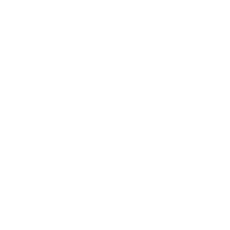 Professional Formats